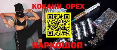 дживик Будённовск
